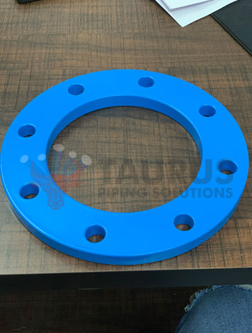 ANSI B16.5 Nylon Coated Backing Rings