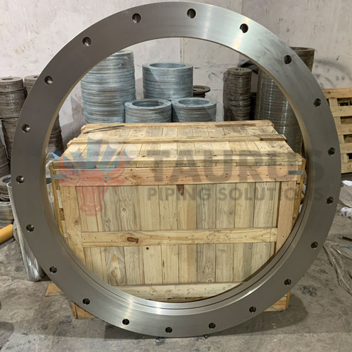 SS Backing Ring Flanges