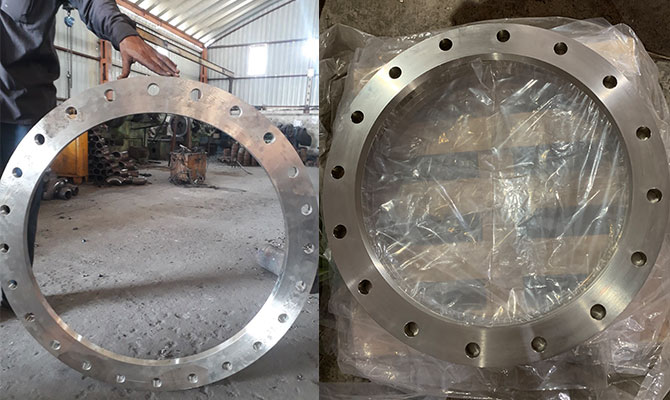 ANSI 150 LB Flange Backing Ring Suppliers in Israel