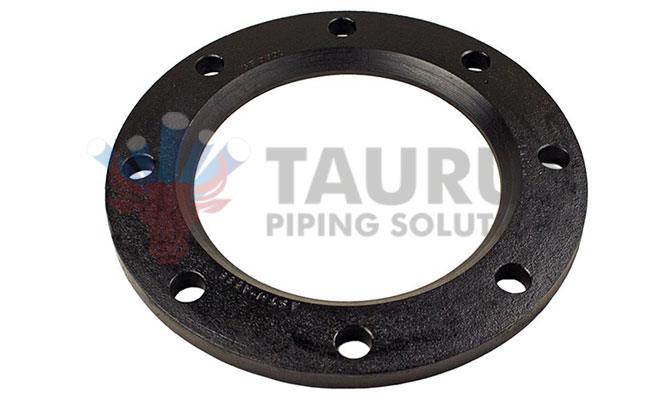 Carbon Steel Backing Ring Flange Manufacturer