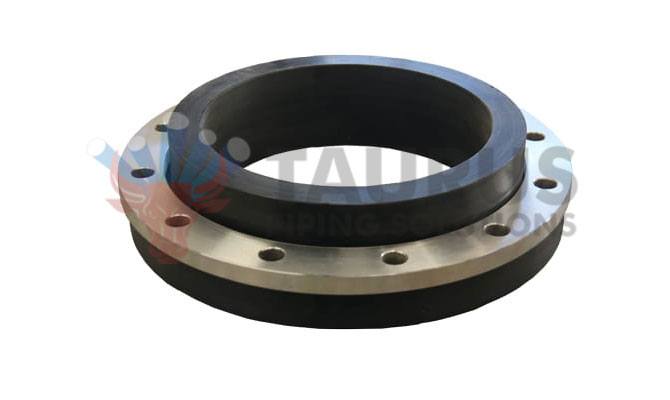 Incoloy 800HT Backing Ring Flange Manufacturer