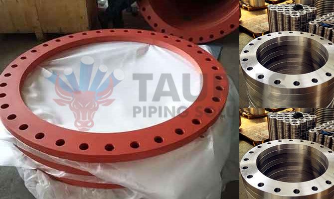 Inconel 718 Backing Ring Flange Manufacturer