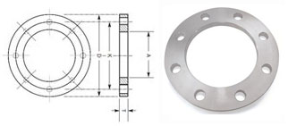 Stainless Steel 316 Backup Flange