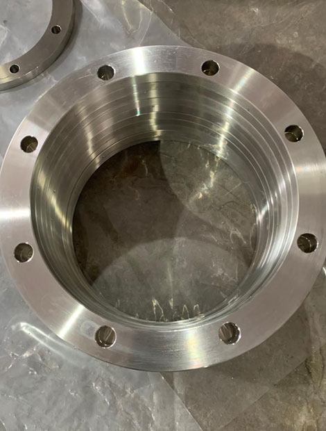 Hastelloy Alloy C22 Backup Flanges