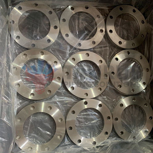 Super Duplex Steel Backing Ring Flange