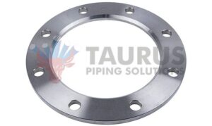 Backing Ring Flange – Stainless Steel Flange Company India