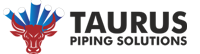 Products Backing Ring Flange - Taurus Piping Solutions Manufacturer