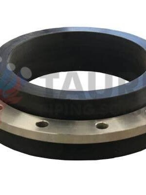 Incoloy 800HT Backing Ring Flange Manufacturer & Exporter