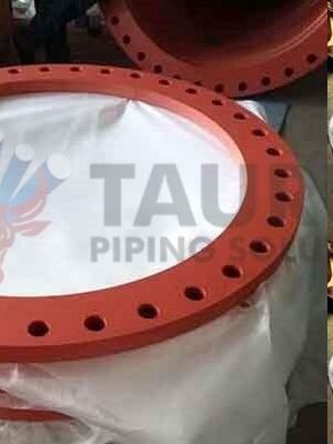 Inconel 718 Backing Ring Flanges Manufacturer & Exporter