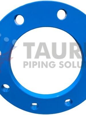 ANSI / ASME B16.5 Backing Ring Flanges Manufacturer, Supplier & Exporter
