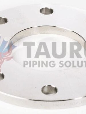Stainless Steel 310H Backup Flange Manufacturer & Exporter