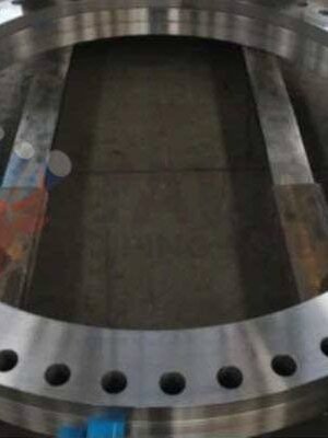 Stainless Steel 904L Backing Ring Flange Manufacturer & Exporter