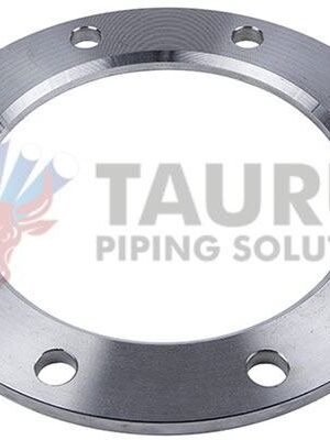 Stainless Steel Backing Ring Flanges Manufacturer & Exporter